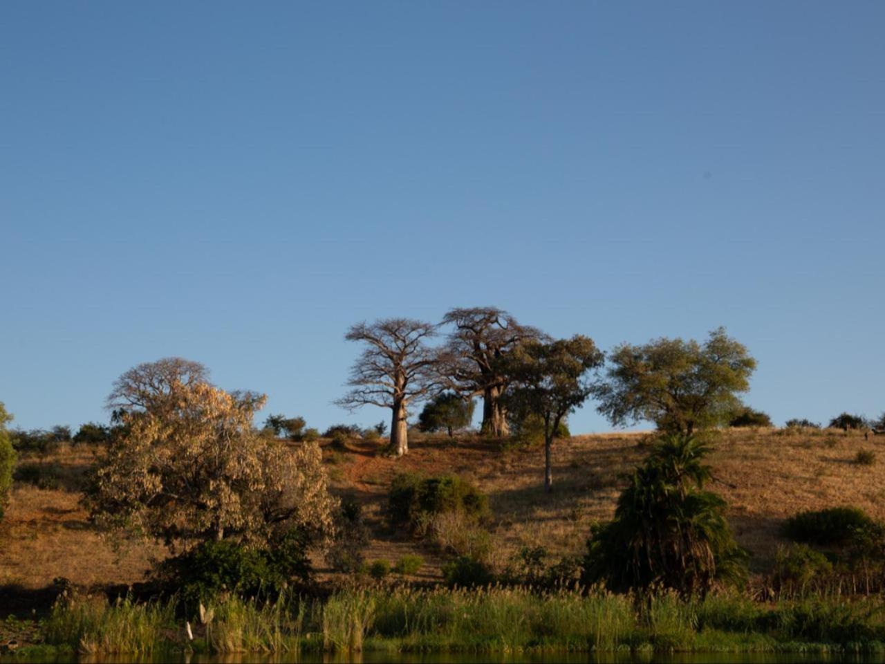 Kayova River Lodge Ndiyona 外观 照片